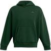 Under Armour Icon Solid Color Casual Long Sleeve Hoodie Men Hoodies Forest-Green 1386552-301