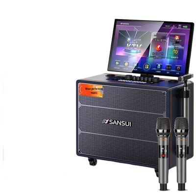 Sansui Q129 Портативная караоке-система «все в одном», штекер CN (адаптер в комплекте)