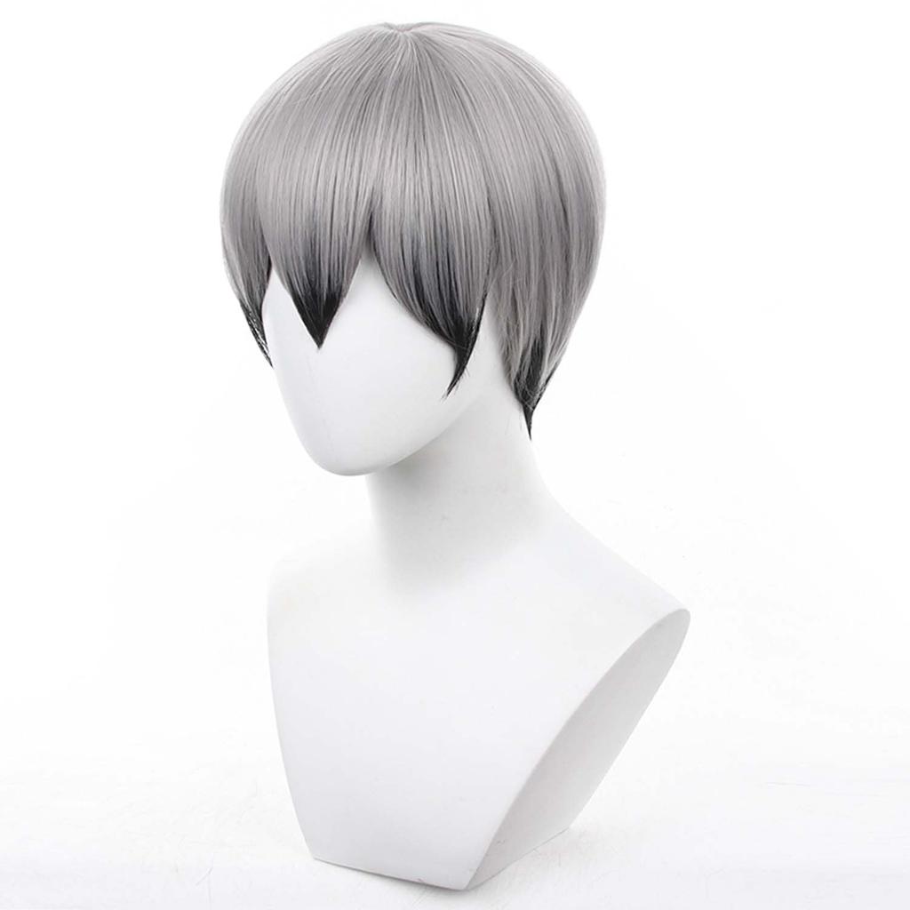 Short Anime Character Cosplay Perfect for Comic Market Cultural School and Other Includes Wig Gray/Black Wig, Accessory, Heat-Resistant Wig, Events,
