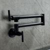 Black Wall Mounted Pot Filler Faucet Swivel Folding Rotary Kitchen Sink Faucet Brushed Gold Single Cooling Sink Tap