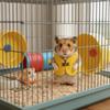 Sleeveless Hamster Vest Breathable Pet Apparel Cozy Small Pets Clothing  Daily Outings