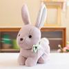 Новый мультфильм сопоставимый кролик кукла плюшевая игрушка кукла машина для ловли кукла милый маленький кролик детский подарок