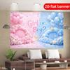 2D flat banner light luxury minimalist style party background decoration banner suitable for gender revealing