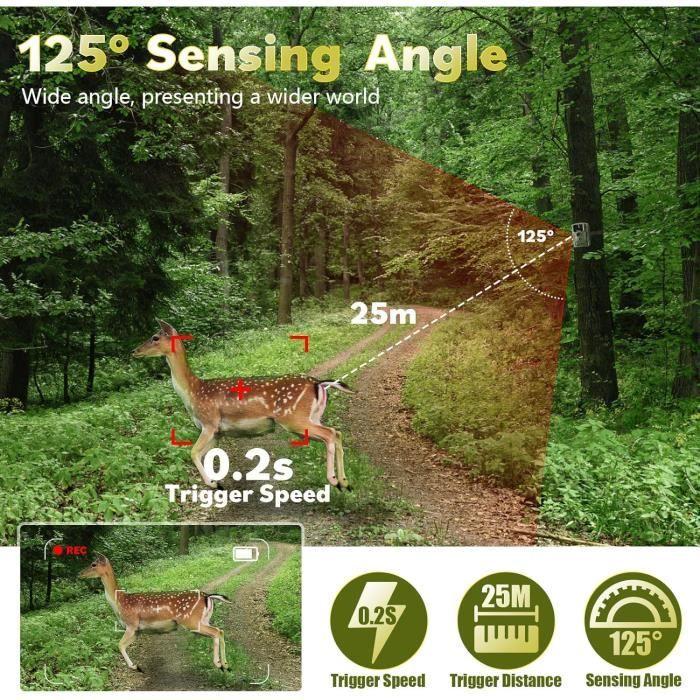 Камера для охоты - COOLIFE - H881 - 16 МП - 1080P - Ночное видение 25 м