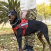 Dog Leash Spot: Medium/Large Labrador Vest-Style Harness