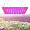 LED Grow Light Red Blue Full Spectrum 169 LEDs Grow Lamps LED Panel Grow Light for Succulents