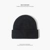 Wool Knitted Hat Women's Autumn and Winter Versatile Warm Big Board Showing Face Small Casual Men's Ear Protective Wool Hat