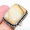 Picture Jasper Gemstone 925 Sterling Silver Jewelry Ring Size 8 a3r47