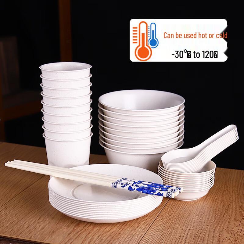Chulv 4-Piece Disposable Tableware Set