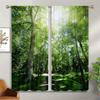 Natural Scenery 3d Print Decoration Decorative Curtains, Living Room Bedroom Kitchen Semi-Blackout Curtains 2PCS