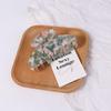 Hair Clip Girls Korean Style Headwear Female Hair Accessories Plastic Hair Claw Acetate Hair Clip
