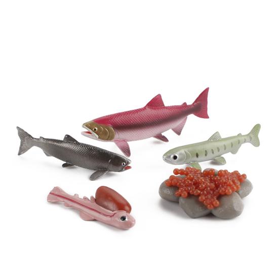 Модель игрушки Образовательный дизайн Раннее моделирование Пластиковые животные Цикл роста Миниатюрный цикл обучения животных