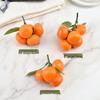 Artificial Shatang Orange & Kumquat Models - Decorative Props