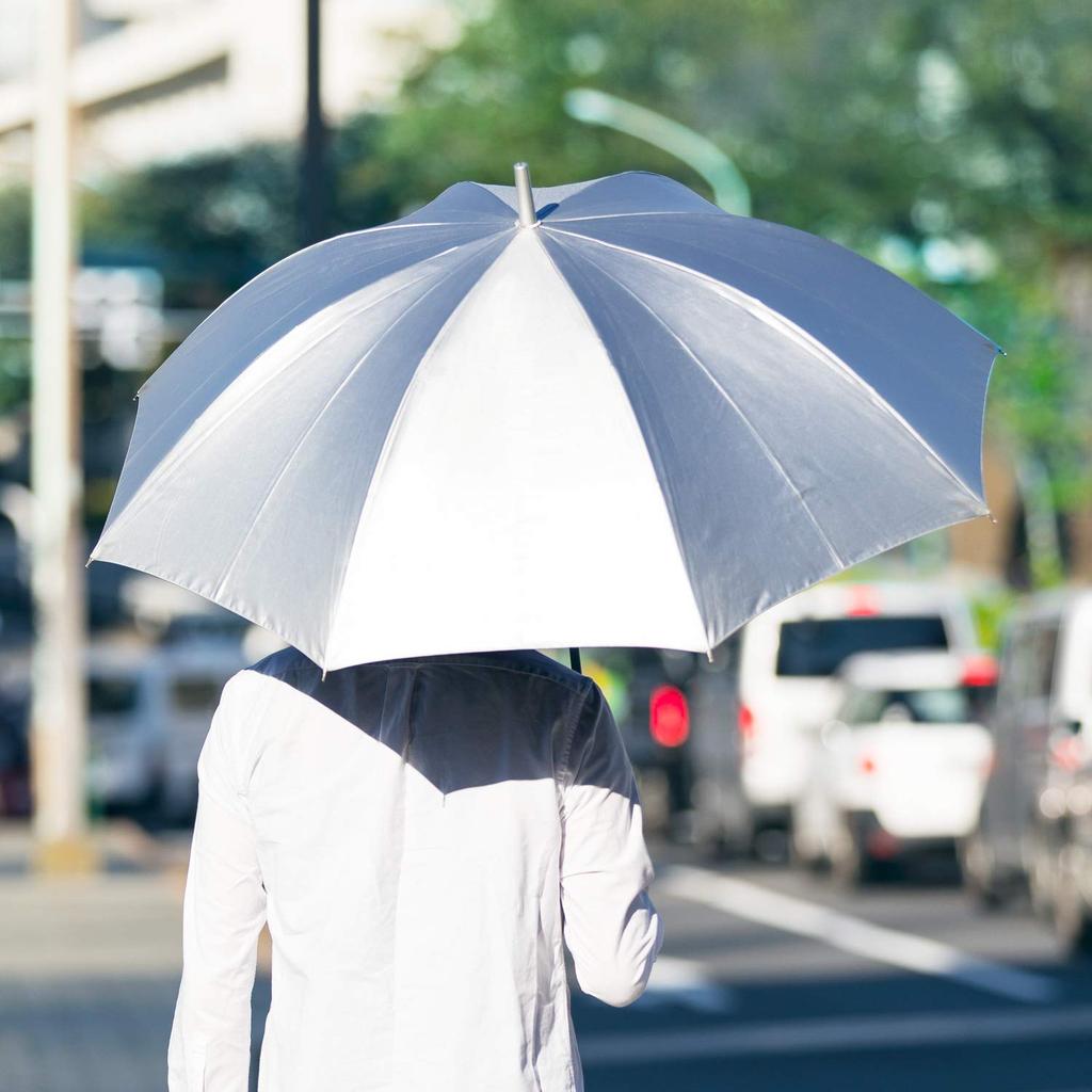 Long Completely Completely Heat UV Protection Rate [Waterfront] Umbrella, Parasol, Large, Blackout, Shielding, 99.9% BKUV160SH-SL