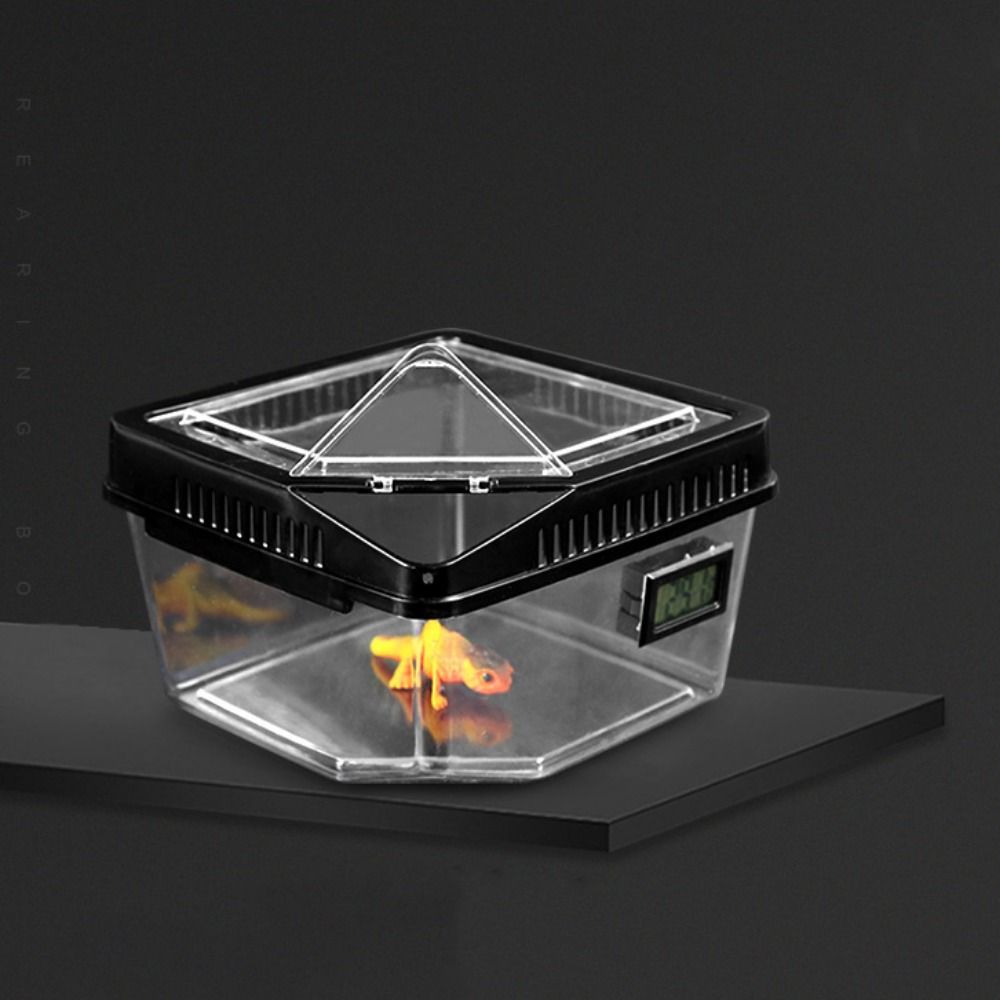 Пластиковый контейнер для рептилий Прозрачный контейнер для выращивания ящериц Противопобеговый террариум для рептилий Улитка