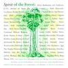 12inch Record SPIRIT OF THE FOREST - Spirit Of The Forest 096551 Virgin 1989 US Pop Used