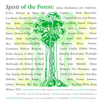 12-дюймовая пластинка SPIRIT OF THE FOREST - Spirit Of The Forest 096551 Virgin 1989 US Поп Б/У