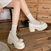 French Retro Round Head Thick Heel Platform Small Leather Shoes Women's 2025 New Spring and Autumn with Skirt Versatile Mary Jane Single Shoes