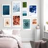 Color Card Inspired Art Posters and Prints Succulent Green Canvas Painting Icy Winter Blue Wall Pictures for Living Room