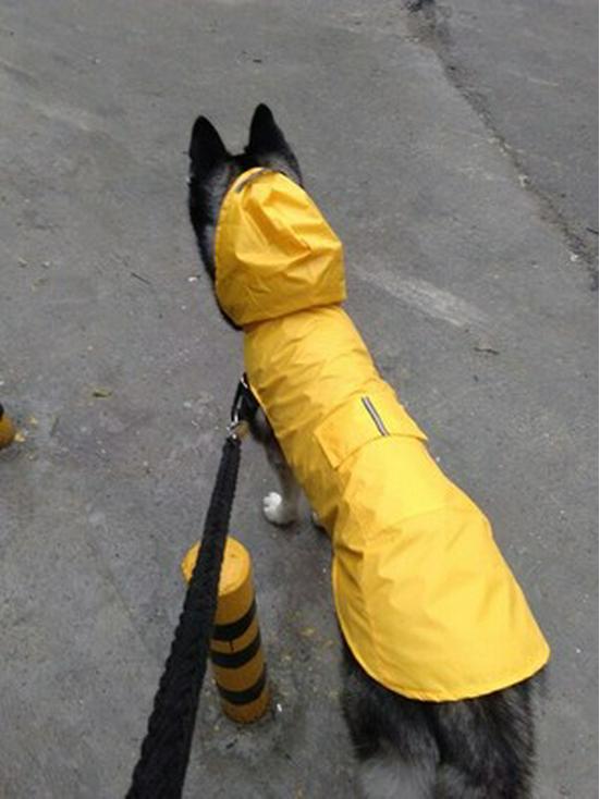 Reflective Large Breed Dog Rain Poncho - Waterproof & Windproof Hooded Raincoat