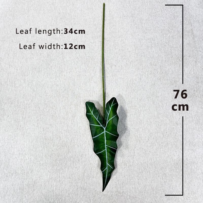 DIY Floral Design: Alocasia, Begonia, Caladium Leaves for Wedding Aisle & Plant Wall