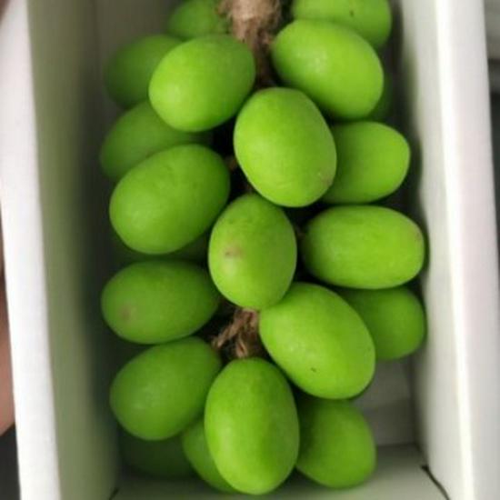 Мыло для рук с ароматом зеленого винограда – Стойкий аромат, в форме винограда.