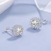 S925 Sterling Silver Zircon Stud Earrings Oval Snowflake Women's Light Luxury Earrings All-Matching Earrings Jewelry
