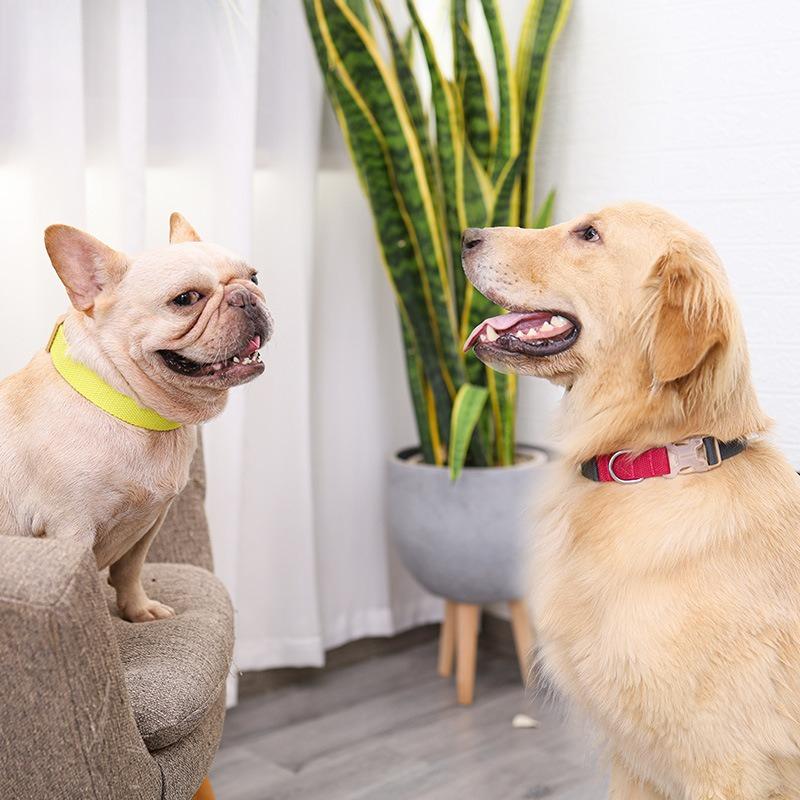 INS Color‑block Polyester Cotton Webbing Dog Collar Soft Adjustable Quick Release Buckle Pet Collar for Small Medium Dog Walking Pet Supplies
