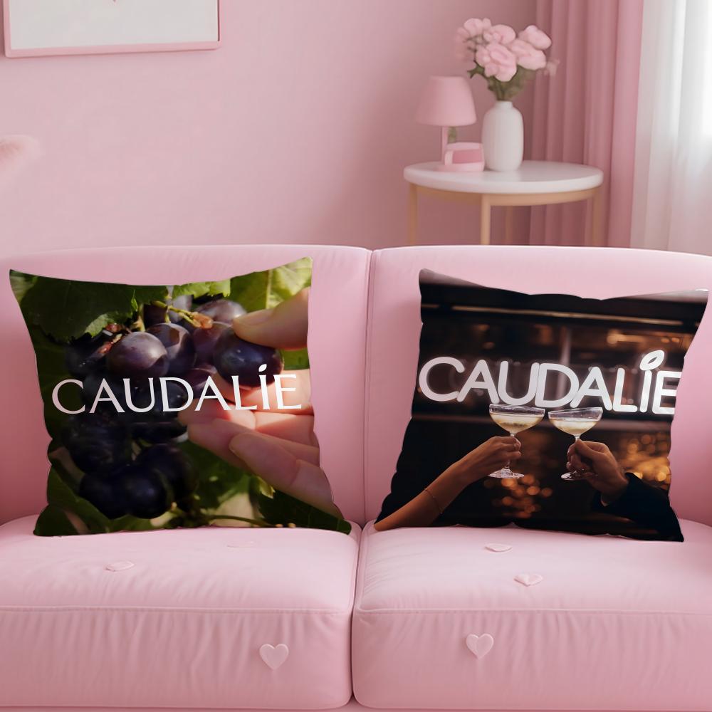 POPULAR CCaudalie-EE Cushion Cover Comfortable Reversible Pillow Cover Ideal for Car Sofa Bedroom & Beyond