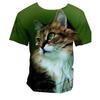 Cute Cat 3D Print Kids T-Shirts Animal Theme O-Neck Short Sleeve Loose Tees For School Playground Daily Outdoor Casual Moments