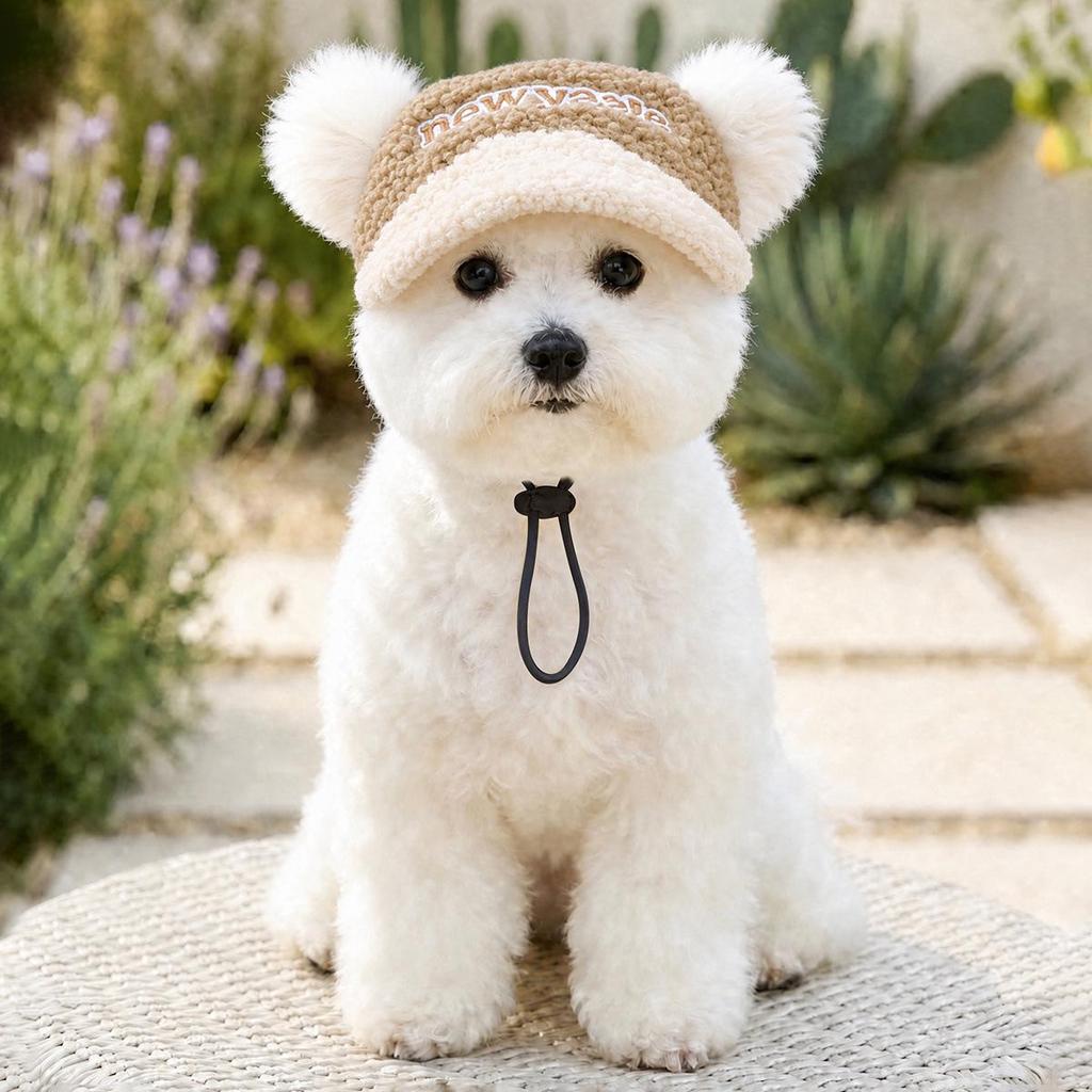 Летняя коллекция бейсбольных кепок PETCIRCLE для собак и кошек