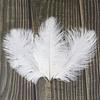 10Pcs White Ostrich Feather For Crafts 10-15Cm Wedding Party Home Decoration Natural Feathers Ostrich Plumes  Plumas Decorativas