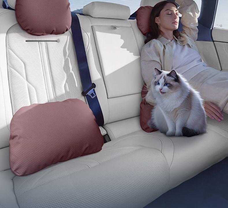 Xiaopeng X9 Headrest Lumbar & Neck Support Pillow - Car Interior Essential Accessory