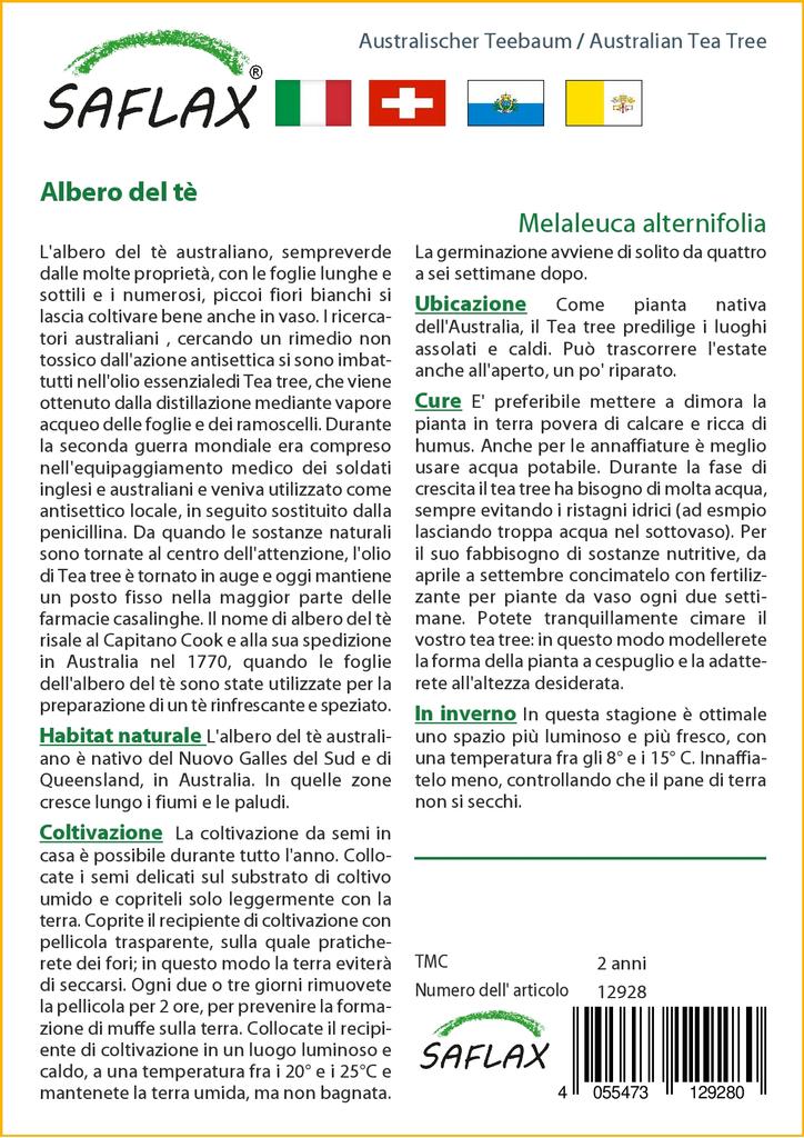 SAFLAX Австралийское чайное дерево - 400 семян - Melaleuca alternifolia