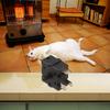 AAAAAElectricHeaterGearSwitchАксессуары для плиты 3-контактный 5-контактный переключатель регулировки скорости для конвекторов плит электрических обогревателей дома