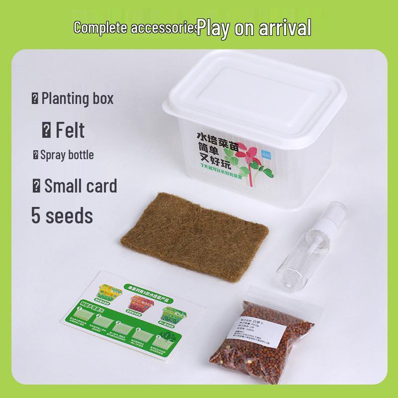 Children's Planting Kit: Hydroponic Vegetable & Radish Seedlings, Green Plants for Kindergartens, Seed Growth Observation for Primary Students