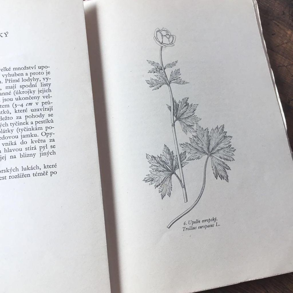 [USED] Czech Plant Encyclopedia Botanical Art Junk Journal