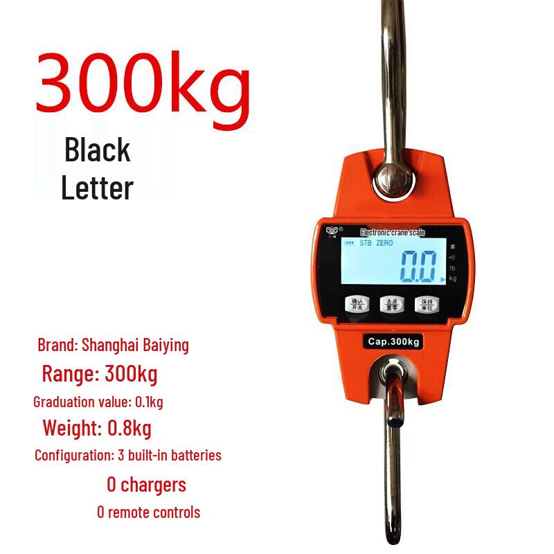 Chi Weng Shanghai Baiying High-Temperature Industrial Electronic Crane Scale