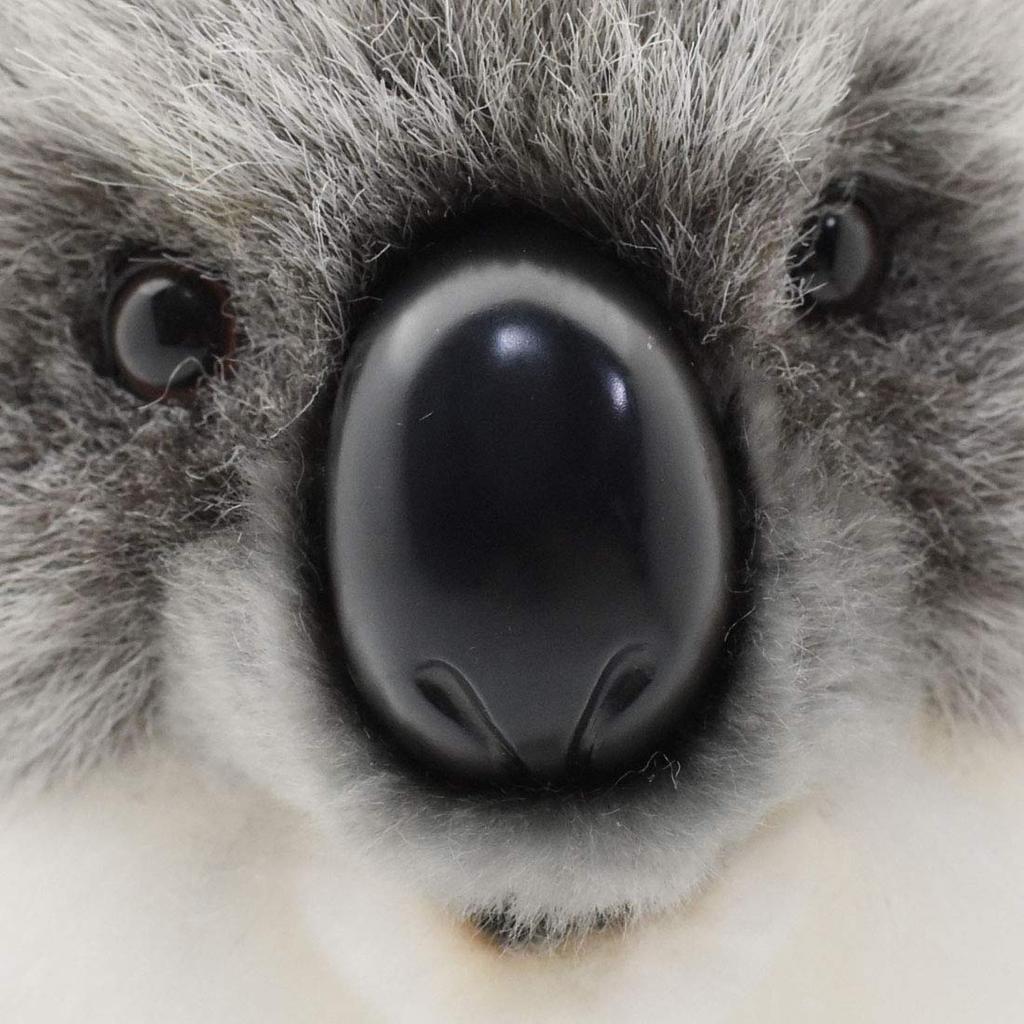 BH3637 HANSA Koala 26