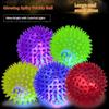 Pet Toy Ball Sting Ball Puppy Glowing Sound Dog Can't Bite Cross-border Amazon Popular Cat and Dog Toys