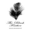 The Black Feather by Nadia Rosenight Hardback Book 9781035849987