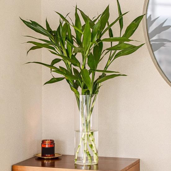 Прозрачная цилиндрическая ваза для цветов, свадебная вечеринка, обеденный стол, центральный элемент, гидропонный держатель для цветов, прозрачный