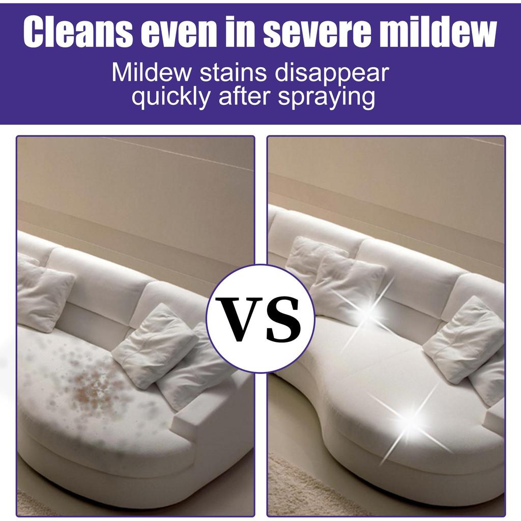 RAYHONG Средство для удаления плесени с автомобиля, для ткани обивки потолка салона, кожи сидений, плесени, для точечной очистки и ухода