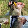 Daiwa Steez Pencil 60F Хасегава Розовый Вер.1