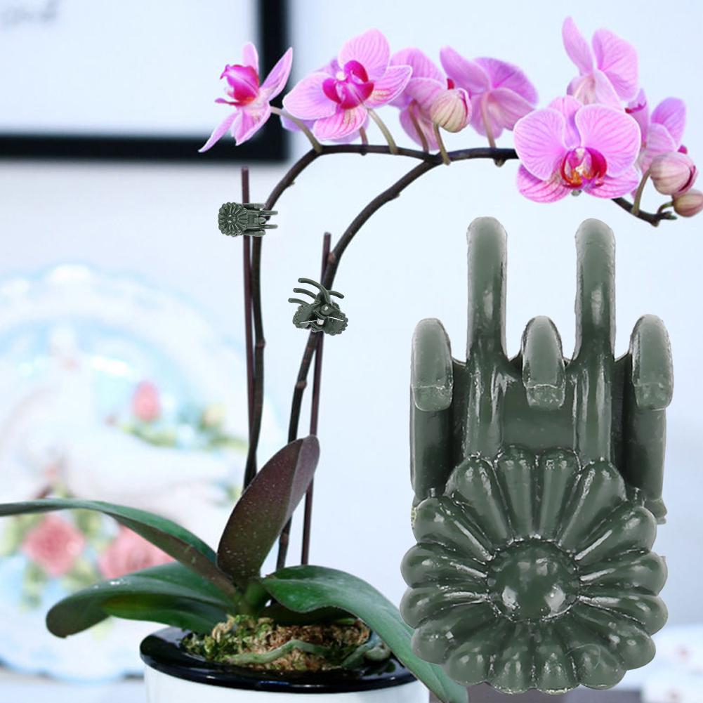 100 шт. зажимы для растений, красивые хризантемы, форма садовых цветов, стебли, фиксирующие опорные зажимы