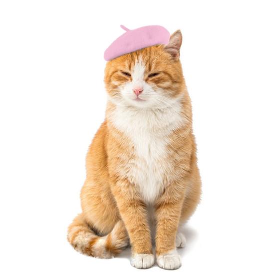 Yousheng Pet Hat Регулируемый милый берет с котом Удобный мягкий костюм для собаки Головные уборы Реквизит для фотосессии Домашние модные аксессуары