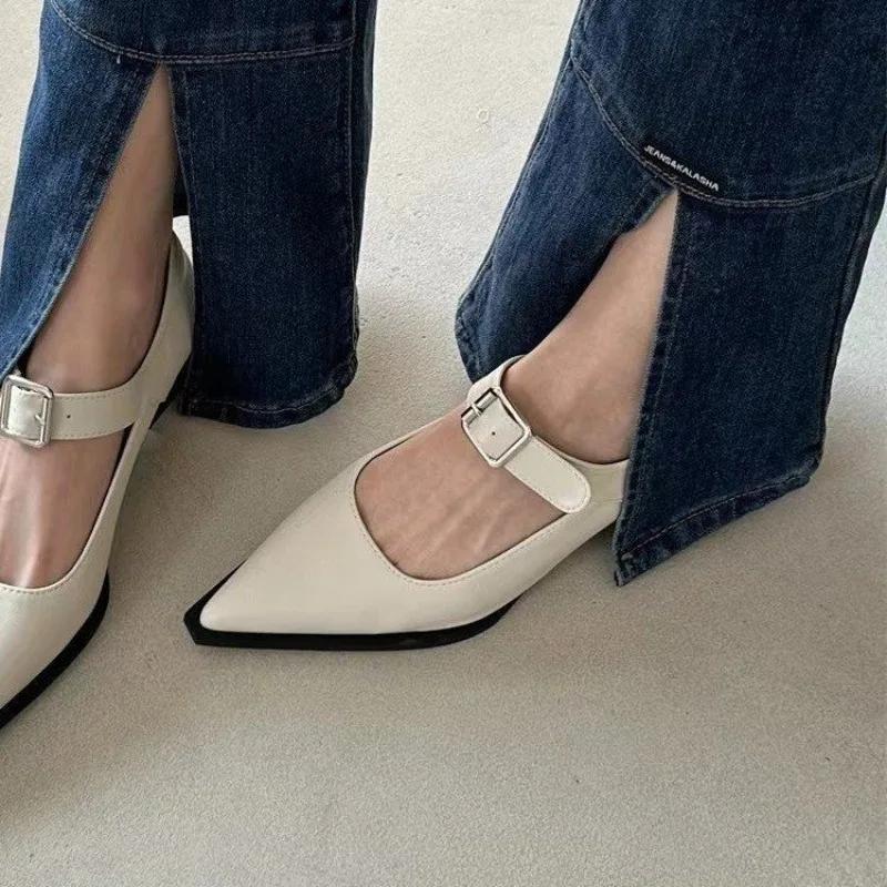 Fashion Coarse Heeled Women's Shoes, Retro French Buckle, Mary Jane Women's Shoes, Pointed Toe, Low Heel, Shallow Mouth Single Shoe