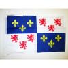 Drapeau - AZ FLAG - Picardie - 45x30cm - Polyester - Haute Qualité