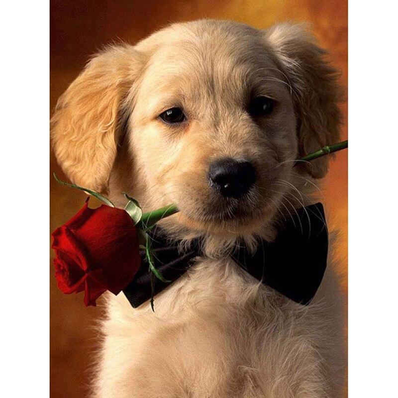 DIY5D Diamond Painting Dog Diamond Embroidery Rhinestone Full Round/Mosaic Animal Cross Stitch Home Decor Manual Art Gift