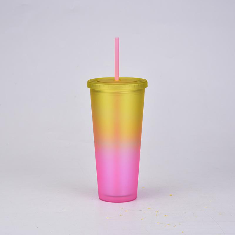 Rainbow Color Wind Double-Layer Plastic Straw Cup Matte Easy Cup Outdoor Sports Water Cup